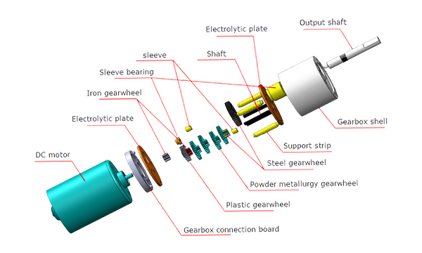 the structure of spur gear motor