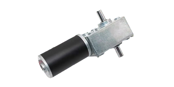 Brushless DC Worm Gear Motor