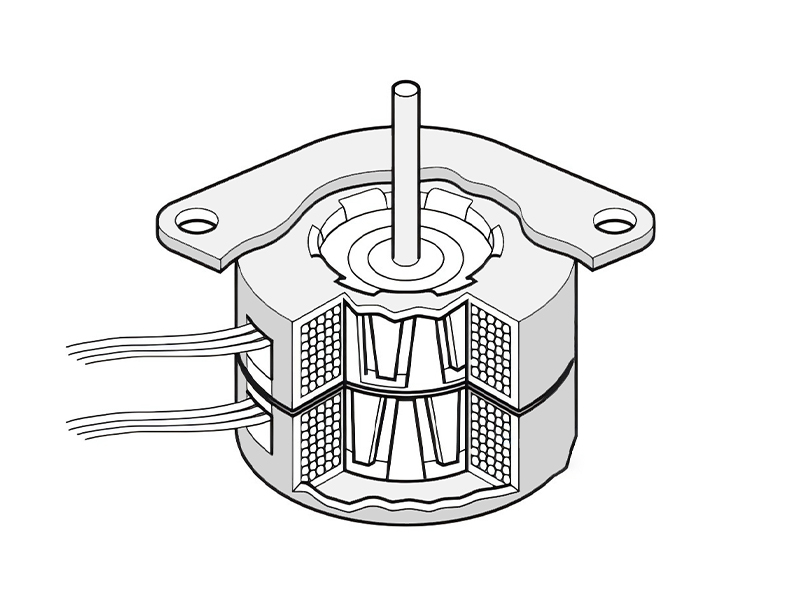 PM Stepper Motor Structure