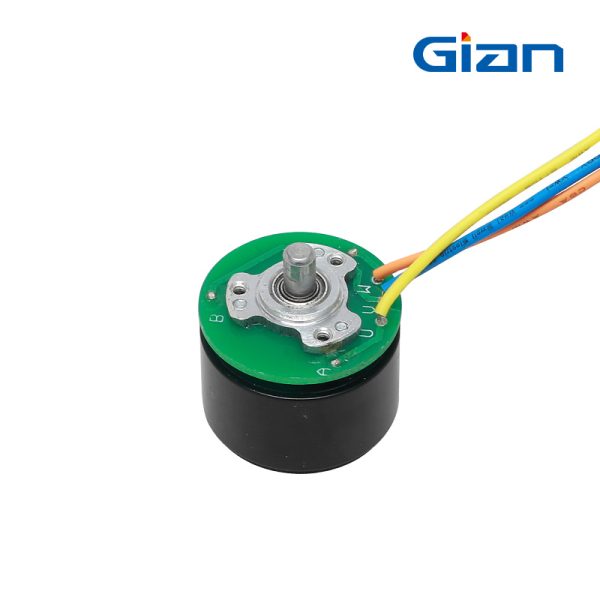 TR029-P02 Outrunner Brushless DC Motor