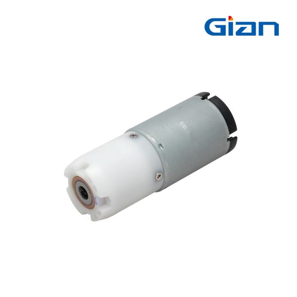 Gian TR039-P01 Planetary Gear Motor