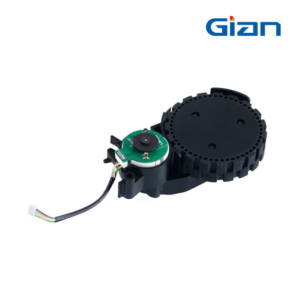 Gian TR093-P01 Brushed Spur Gear Motor