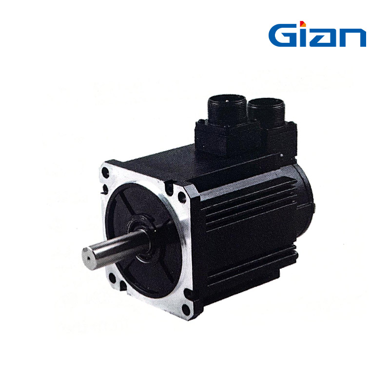 GSV110 DC Servo Motor