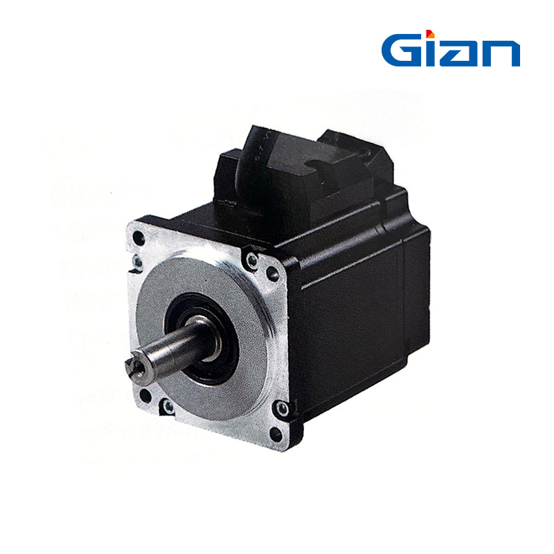 GSV60 DC Servo Motor2