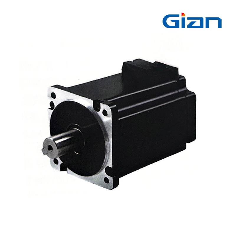 GSV80 DC Servo Motor