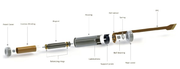 Slotless BLDC Motor