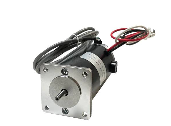 Dual Shaft Servo Motor